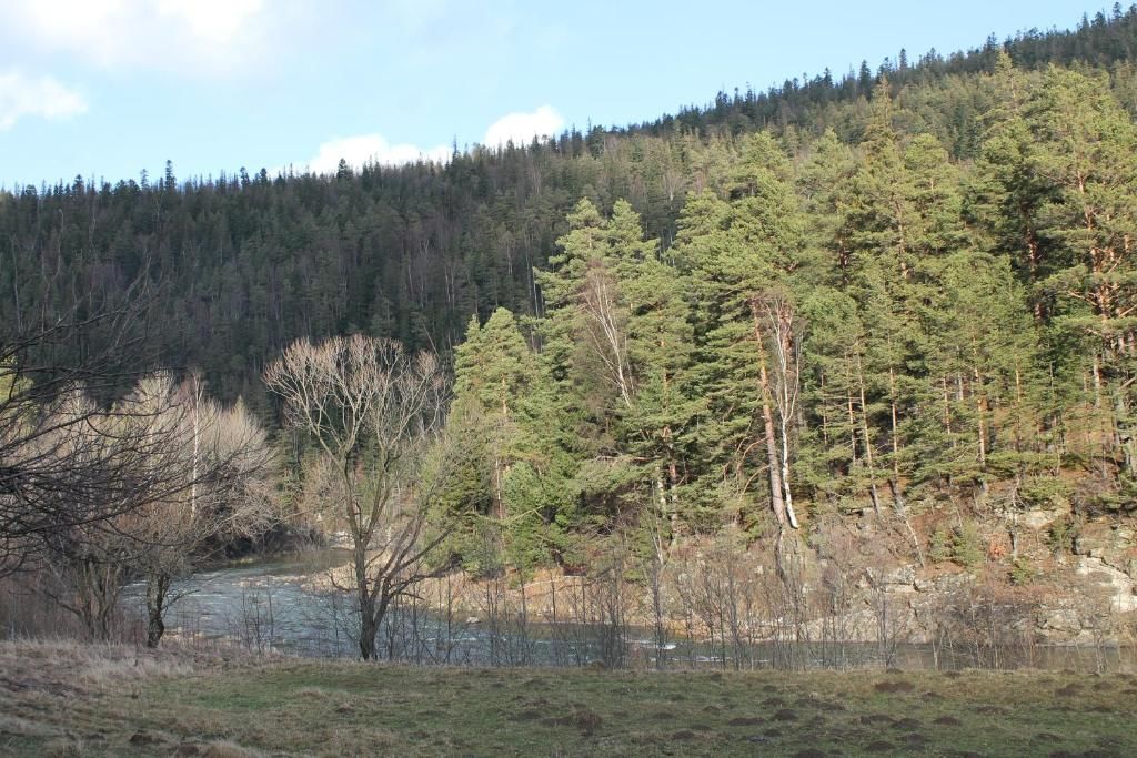 Шале The Living Татаров-92