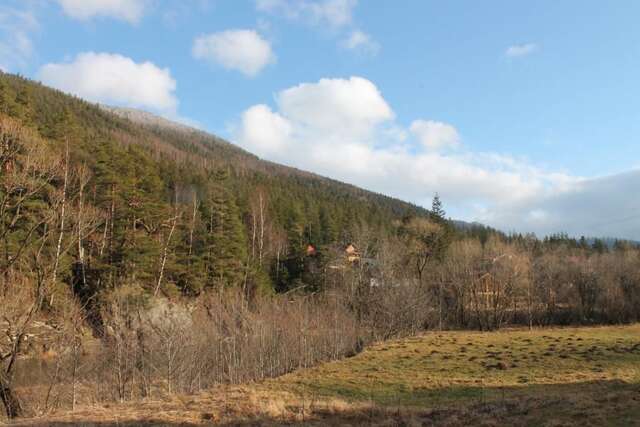 Шале The Living Татаров-95